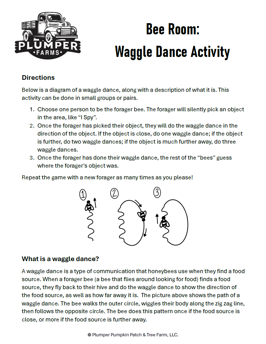 Waggle Dance SS
