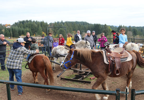 pony-rides-weekends-1