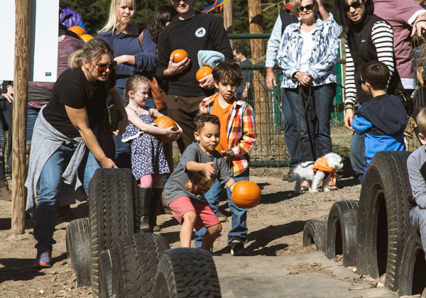 pumpkin-bowling-1