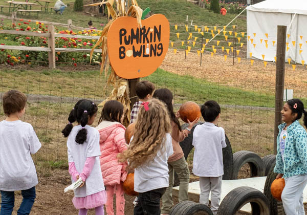pumpkin-bowling-2