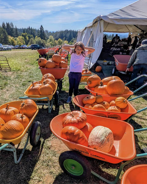 pumpkin-patch-plumper-4 Pumpkin Patch - Plumper Farms in Portland, Oregon