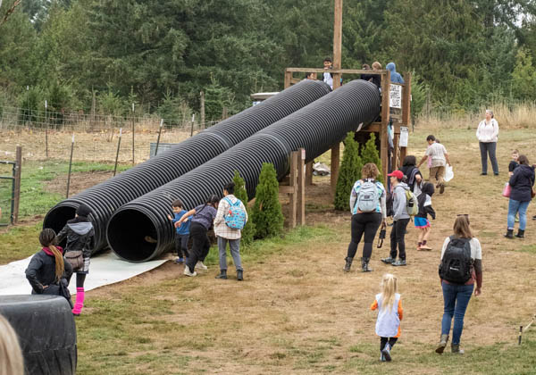 tube-slides-1