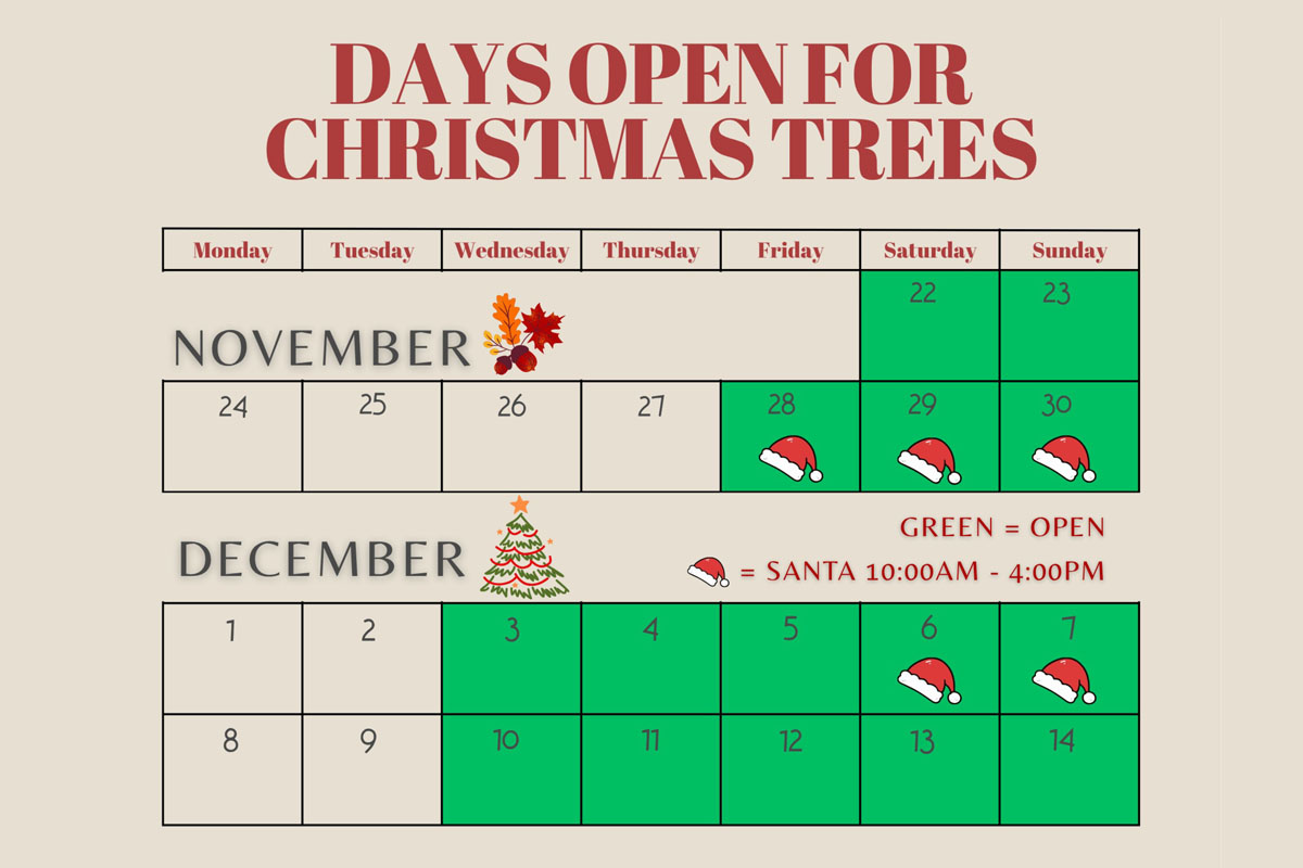 Days open for Christmas Trees & Santa