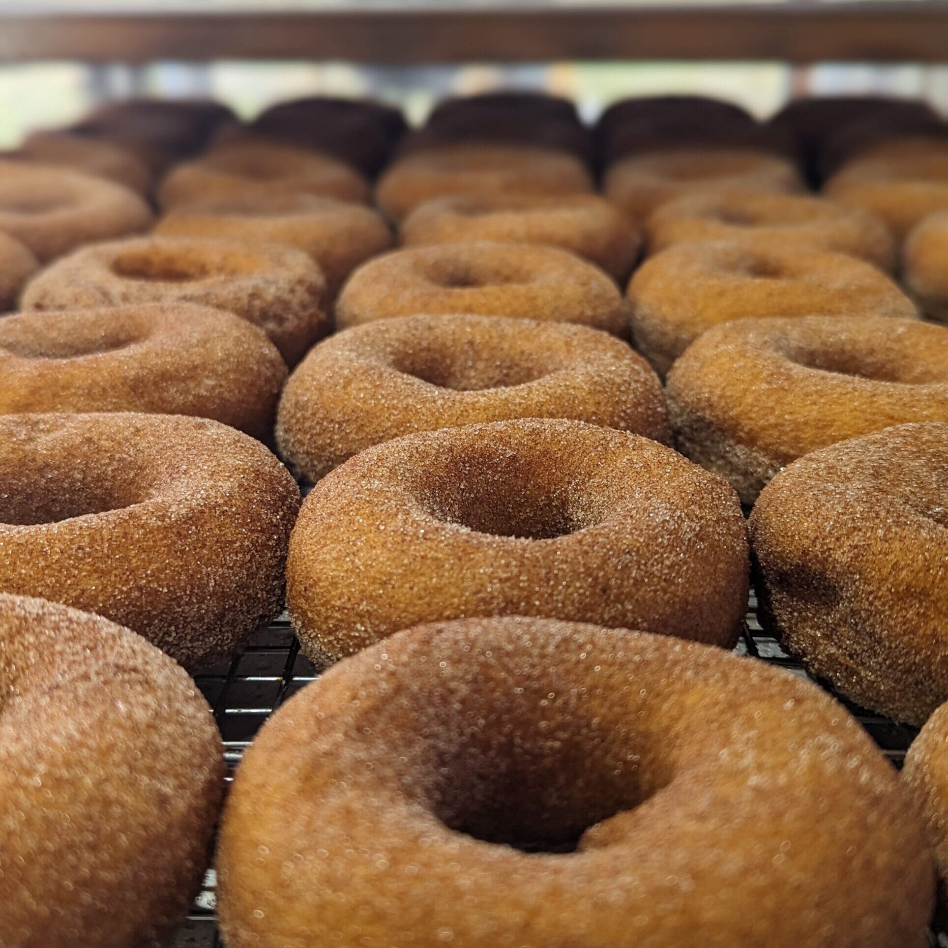 Enjoy our fresh pumpkin donuts. Made daily!