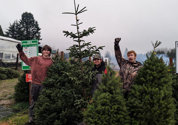 Christmas Trees in Portland Oregon